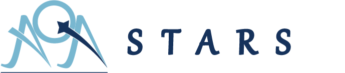 system logo