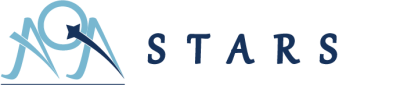 system logo
